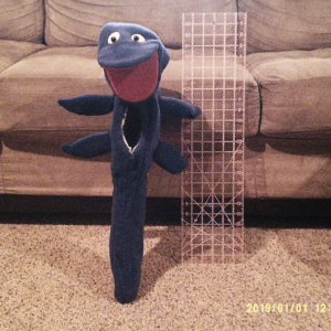 mosasaurus height